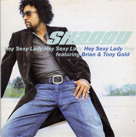 sexxxxyyyy ladies song lyrics|Shaggy